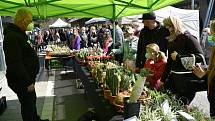 První Zahradnické trhy roku 2021 na výstavišti Flora Olomouc. Sobota 24. dubna 2021