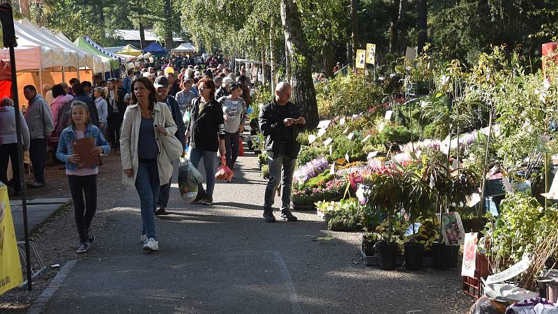 Podzimní etapa Flory Olomouc 2018.