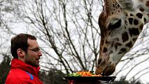 Petr Čech v olomoucké zoo