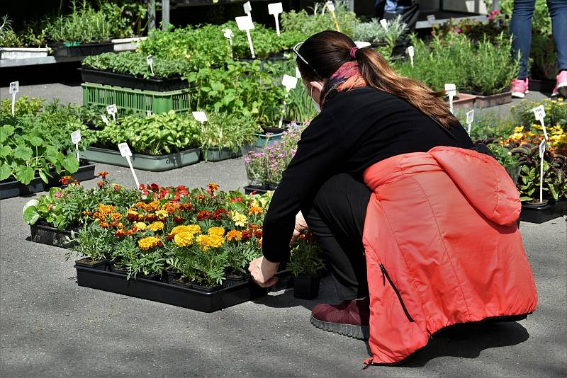 Selské trhy na Výstavišti Flora Olomouc, 7. 5. 2021