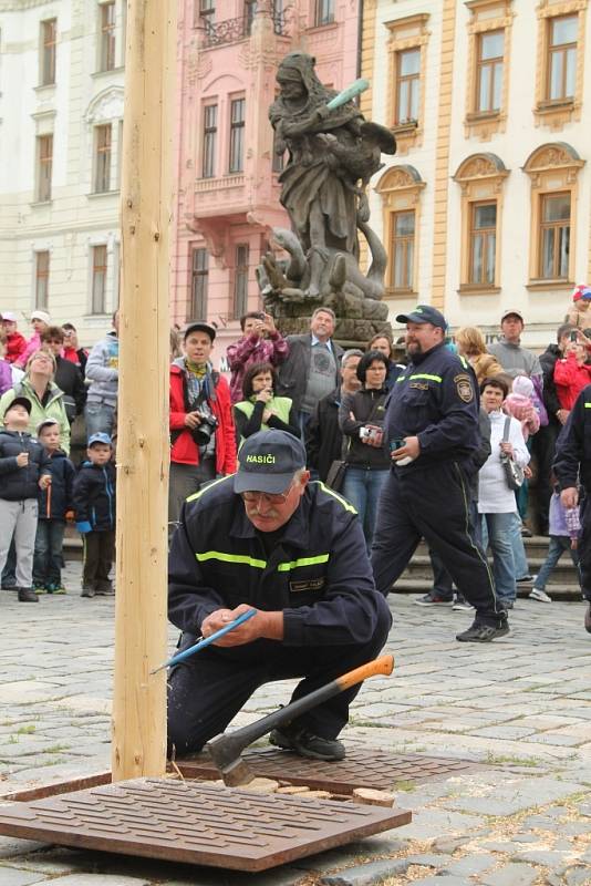 Kácení májky na Horním náměstí v Olomouci