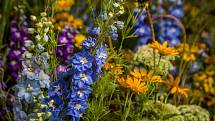 Letní Flora Olomouc láká na krásu květin vrcholícího léta a nabízí inspiraci na založení zelených oáz ve městech i na venkově.