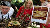 Stovky lidí zaplnily v sobotu Smetanovy sady Výstaviště Flora Olomouc. Přilákal je tam už druhý ročník dobrého jídla a pití Garden Food Festival.