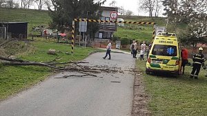 U Mladče spadl strom na stezku a zranil cyklistu, 1. dubna 2024