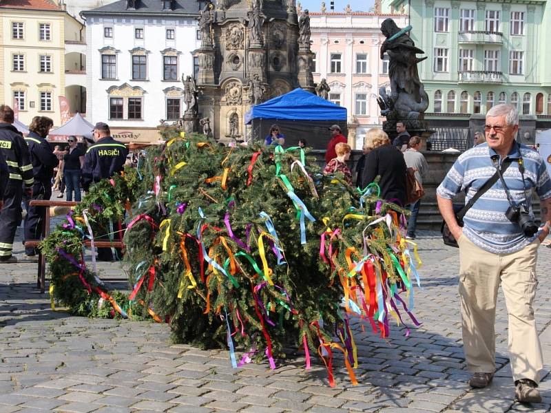 Stavění májky a program na Horním náměstí v Olomouci na 1. máje