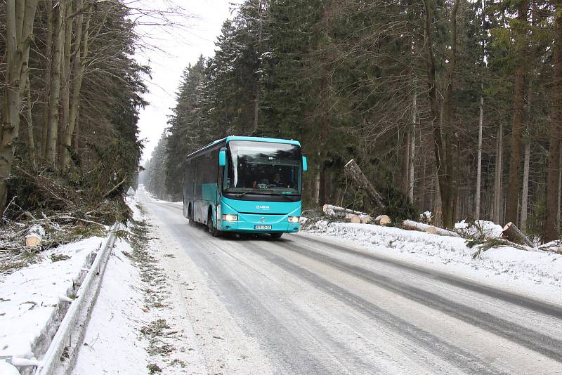 19. března 2018. Následky silného větru v okolí Skřítku v Jeseníkách