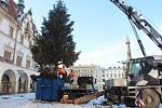 Kácení vánočního stromu na Horním náměstí v Olomouci