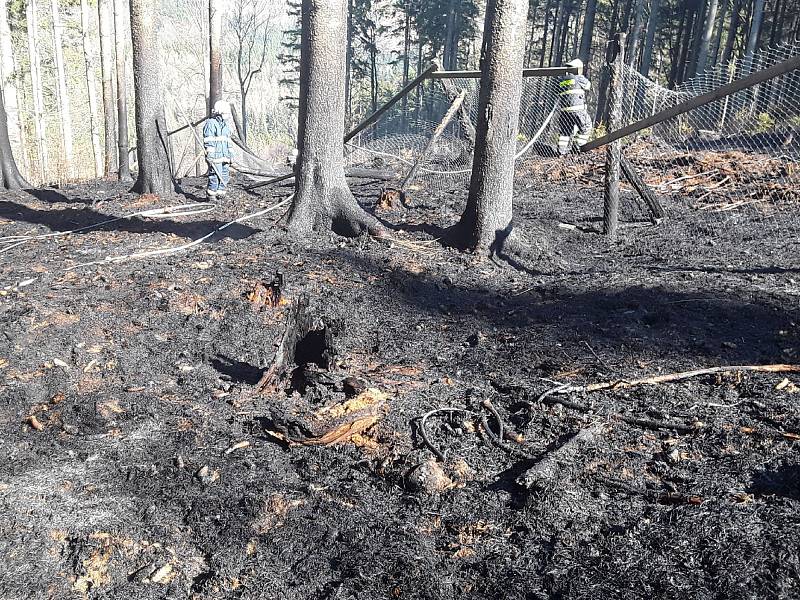 Hasiči během pondělí 6. dubna likvidovali požáry na devíti místech Olomouckého kraje. Požár u Vernířovic.