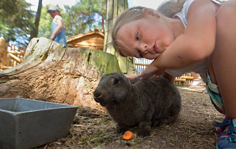 Králíkovství v olomoucké zoo