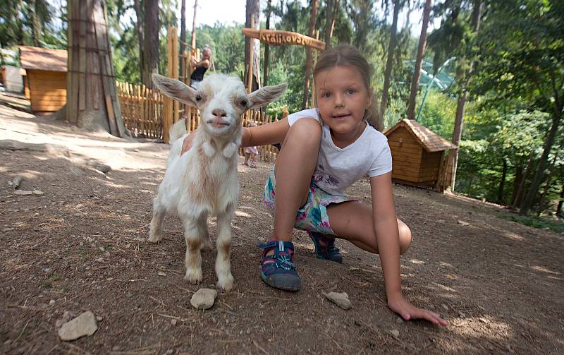 Králíkovství v olomoucké zoo