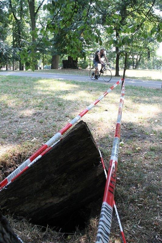 Místo ve Smetanových sadech v Olomouci, kde spadlo malé dítě do hluboké díry u pařezu nedaleko cyklostezky mezi fontánou a tržnicí