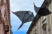 Andělé moří plují nad hlavami lidí v Opletalově ulici. Do Olomouce zavítal další ročník přehlídky Sculpture Line, 17. října 2023