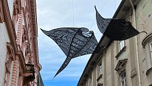 Andělé moří plují nad hlavami lidí v Opletalově ulici. Do Olomouce zavítal další ročník přehlídky Sculpture Line, 17. října 2023