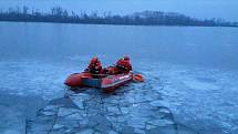 Kvůli záchraně srnky hasiči prosekali 150 metrů ledu.