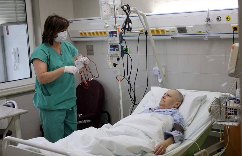 Tisíc transplantací kostní dřeně provedou v nejbližších dnech odborníci ve Fakultní nemocnici Olomouc, která patří mezi přední hemato-onkologická centra v zemi.