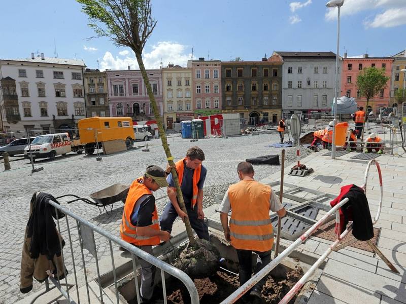 Sázení nových stromů v rámci rekonstrukce Dolního náměstí v Olomouci. Zajímavostí je automatické zavlažování