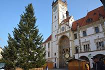 Olomoucké Horní náměstí zdobí od neděle vánoční strom.