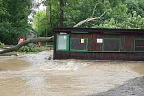 Přívalový déšť v pondělí rozvodnil potok Loučka, který pak zaplavil fotbalový areál v Haňovicích. Spadený strom poškodil kiosek, kde se prodává občerstvení.