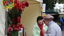 Podzimní Flora Olomouc 2019