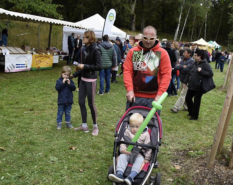 Svátek krajských zemědělců v podobě Dožínek se konal v Náměšti na Hané, 19. 9. 2021