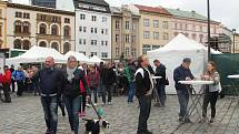 Čtvrtý ročník oblíbeného Tvarůžkového festivalu v centru Olomouce