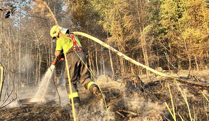 Hasiči zasahují u rozsáhlého požáru u Staměřic nedaleko vojenského újezdu Libavá, 25. 7. 2022