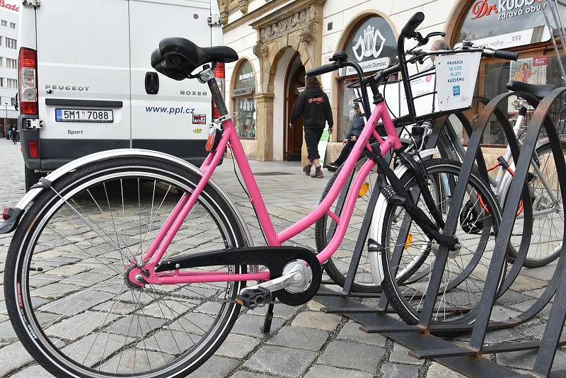 Rekola - sdílená růžová kola v Olomouci