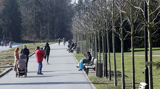 Rudolfova alej ve Smetanových sadech v Olomouci