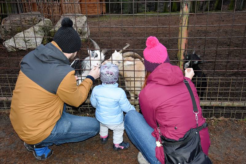 O komentovanou prohlídku areálu zoologické zahrady na Svatém Kopečku projevily zájem stovky návštěvníků