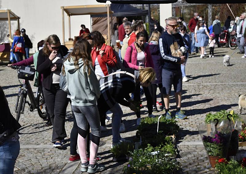 Selské trhy ve Velké Bystřici. 9. 5. 2021