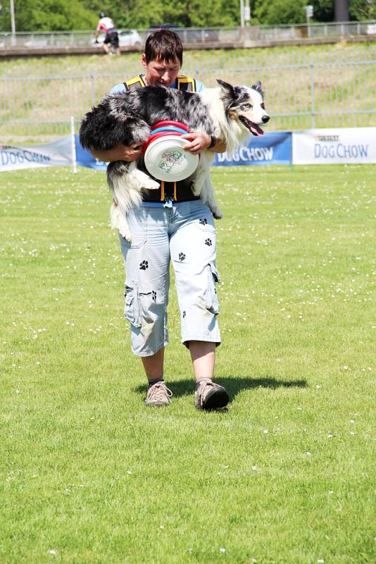 To nejlepší z Dogfrisbee jde o víkendu k vidění v Olomouci