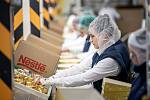 Die Schokoladenfabrik Olomouc Zora der Nestlé-Gruppe produziert derzeit Pralinen für den Weihnachtsmarkt, 18. August 2022, Olomouc.  Das Bild zeigt eine manuelle Verpackungsmaschine.