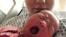 Prvním miminkem, které přišlo na svět na Nový rok v Olomouckém kraji, je Natálka. Narodila se dvanáct minut po půlnoci v olomoucké Fakultní nemocnici třiadvacetileté mamince Nikol Dreslerové.