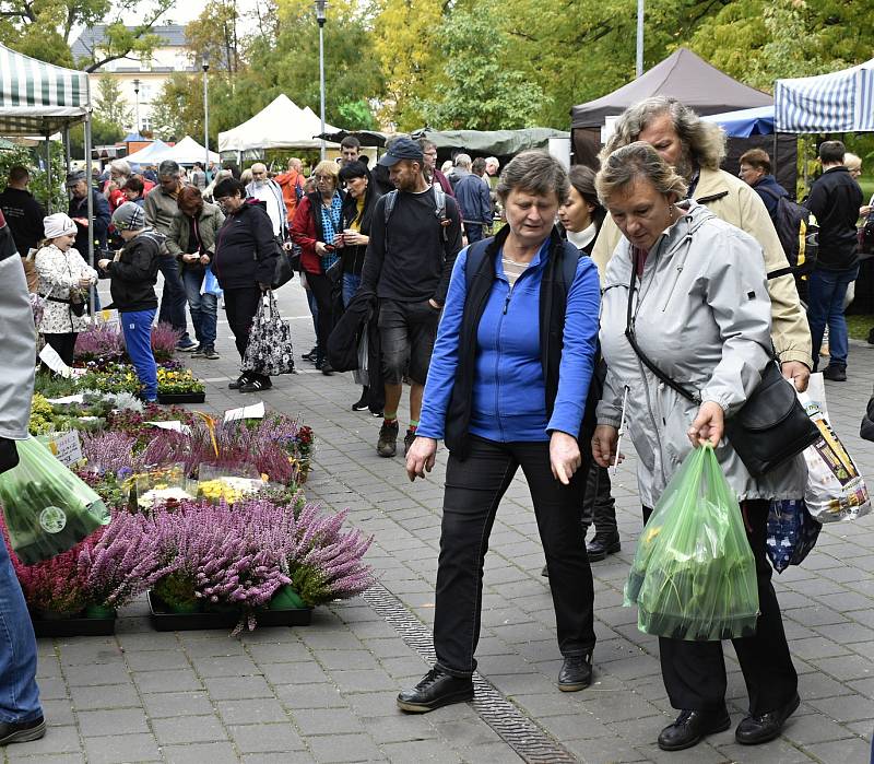 Olomoucká Flora nabídla rozmanitost podzimních barev. 1.10. 2022