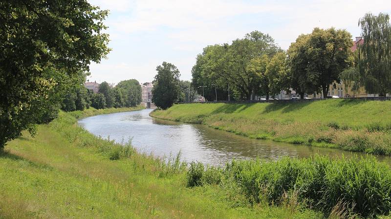 Řeka Morava v Olomouci mezi Klášterním Hradiskem a mostem v Komenského ulici