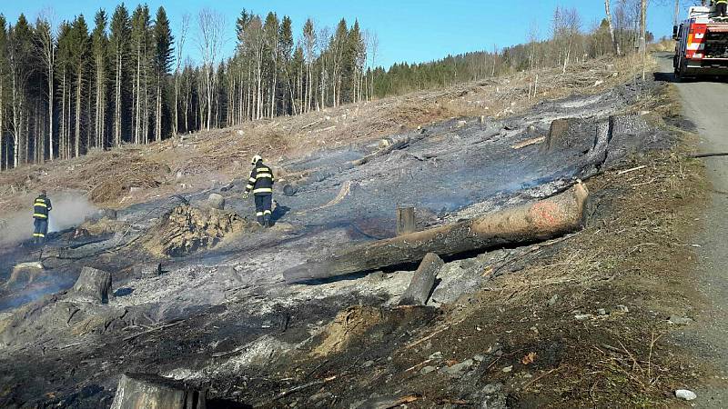 Hasiči během pondělí 6. dubna likvidovali požáry na devíti místech Olomouckého kraje. Požár u Bukovic.