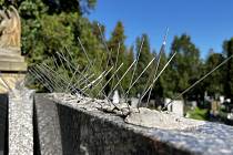 Ostnaté zábrany proti holubům a jiným ptákům přilepené na pomníky na olomouckých hřbitovech