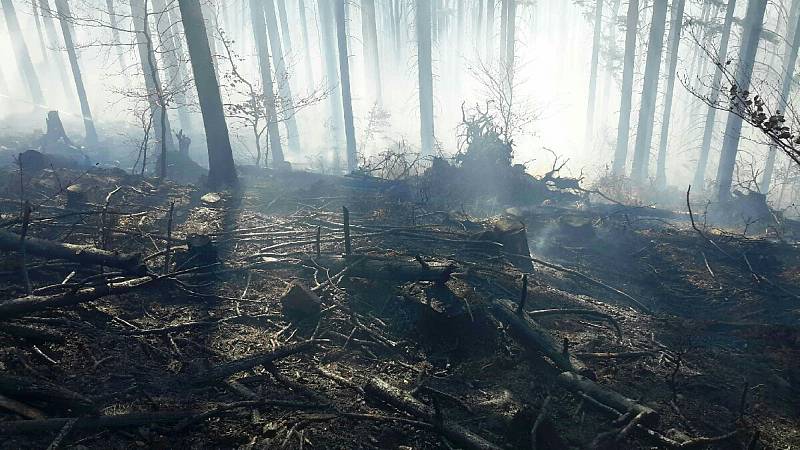 Hasiči během pondělí 6. dubna likvidovali požáry na devíti místech Olomouckého kraje. Požár u Úsobrna.