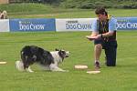 Mezinárodní závody Key DiscDog Freestyle o víkendu představují v Olomouci sport dogfrisbee.