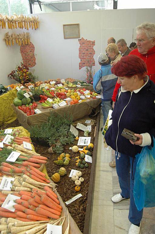 Podzimní Flora Olomouc.