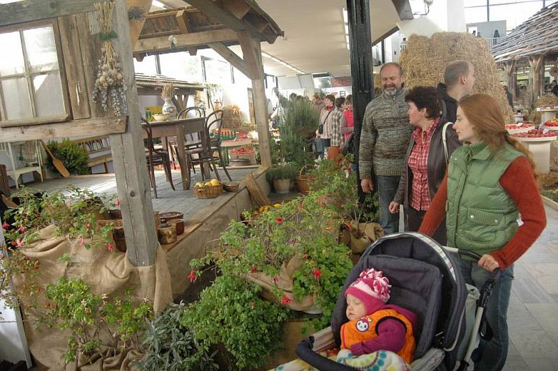 Podzimní Flora Olomouc.