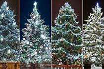Vyberte nejkrásnější vánoční strom Olomouckého kraje
