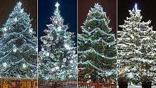 Vyberte nejkrásnější vánoční strom Olomouckého kraje