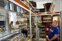 V Litovli otevřelo Muzeum harmonik. Je v něm k vidění největší sbírka akordeonů a heligonek ve střední Evropě. Zájemci si mohou i zahrát, 15. června 2022