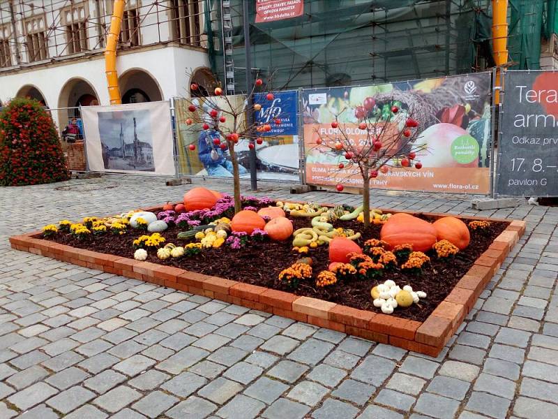 Na podzimní Floru láká i instalace na Horním náměstí v Olomouci