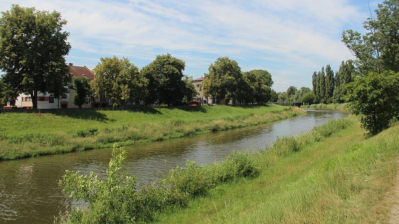 Řeka Morava u Klášterního Hradiska v Olomouci