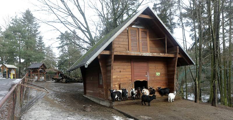 Uzavřená Zoo Olomouc na začátku února 2021