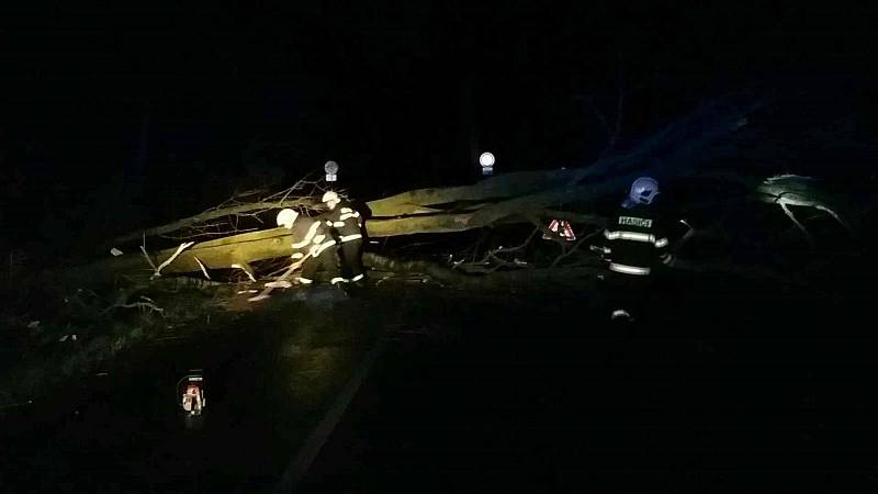 Hasiči likvidují následky vichřice, která v noci na pondělí 11. 3. 2019 zasáhla Olomoucký kraj.