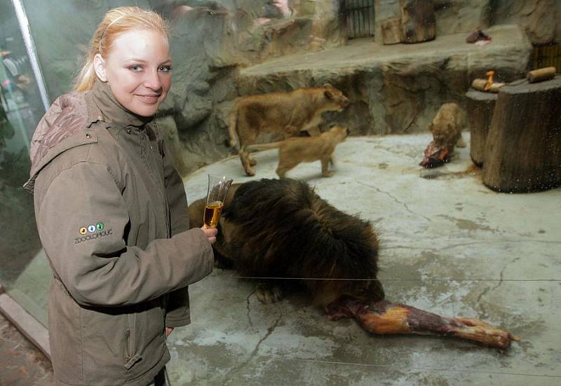 Markéta Konvičková křtila malé lvy berberské v olomoucké zoo 