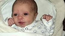 Anežka Běčáková, Rýmařov narozena 14. října míra 47 cm, váha 2290 g